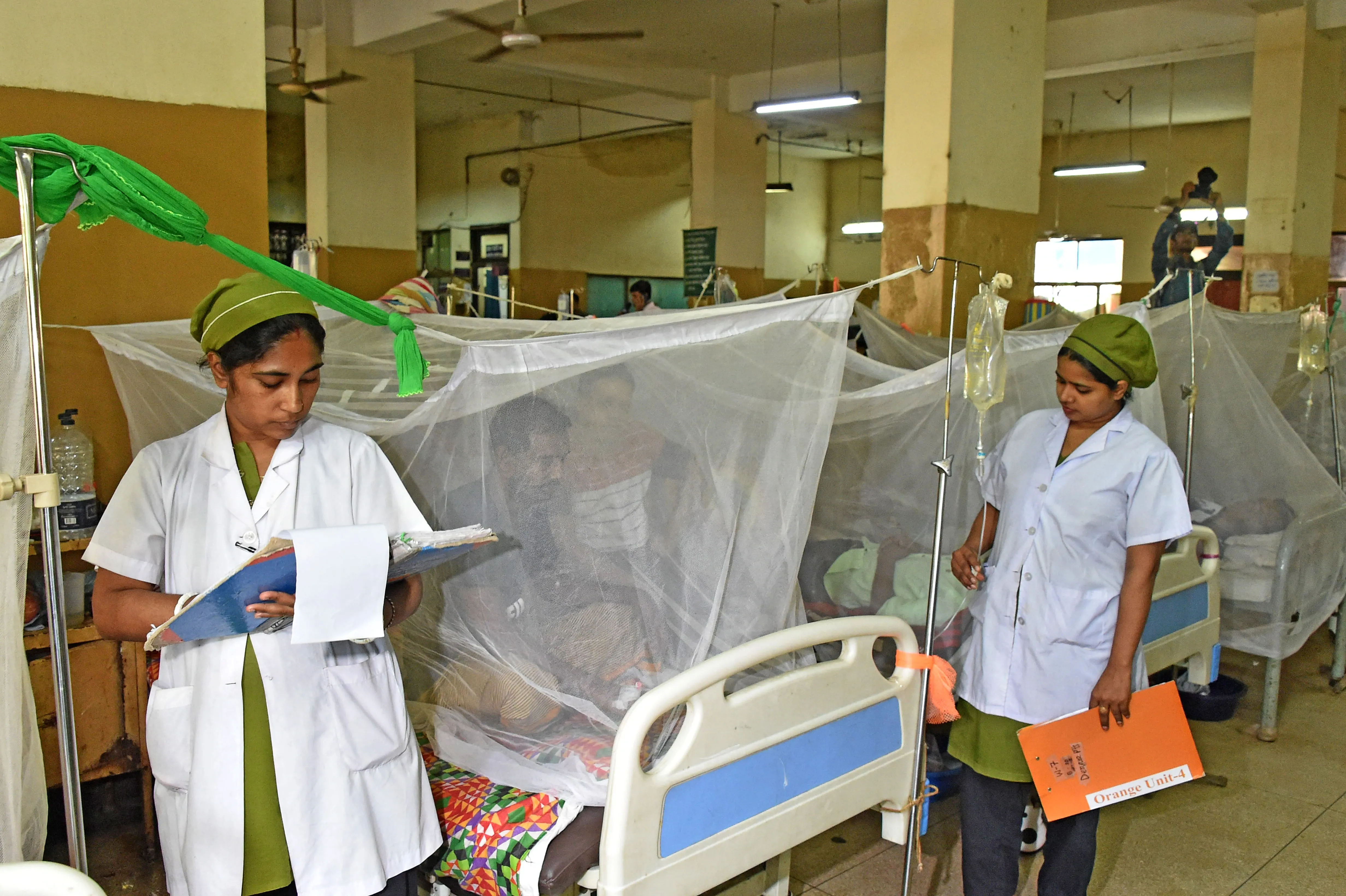 What has caused the rise in dengue fatalities in Bangladesh?