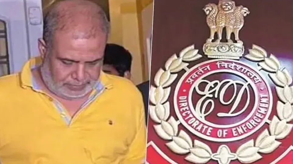 Bengal School Employment Scam: Ayan Shil, the Middleman, Receives Bail in ED Investigation