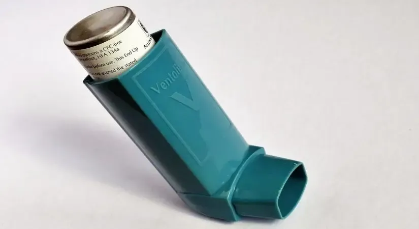 Can better air quality and green spaces really prevent asthma?