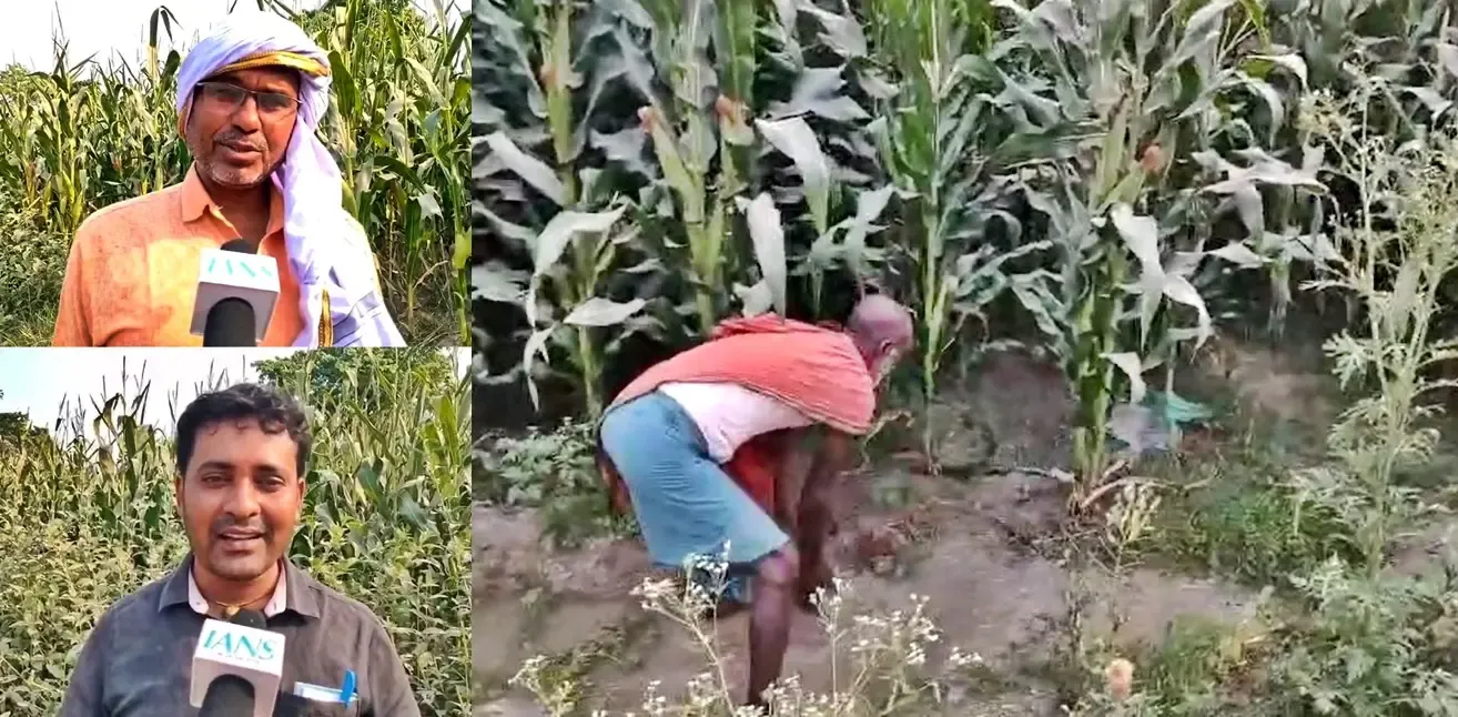 Bihar: Farmers in Motihari Boost Profits with Millets Inspired by PM Modi