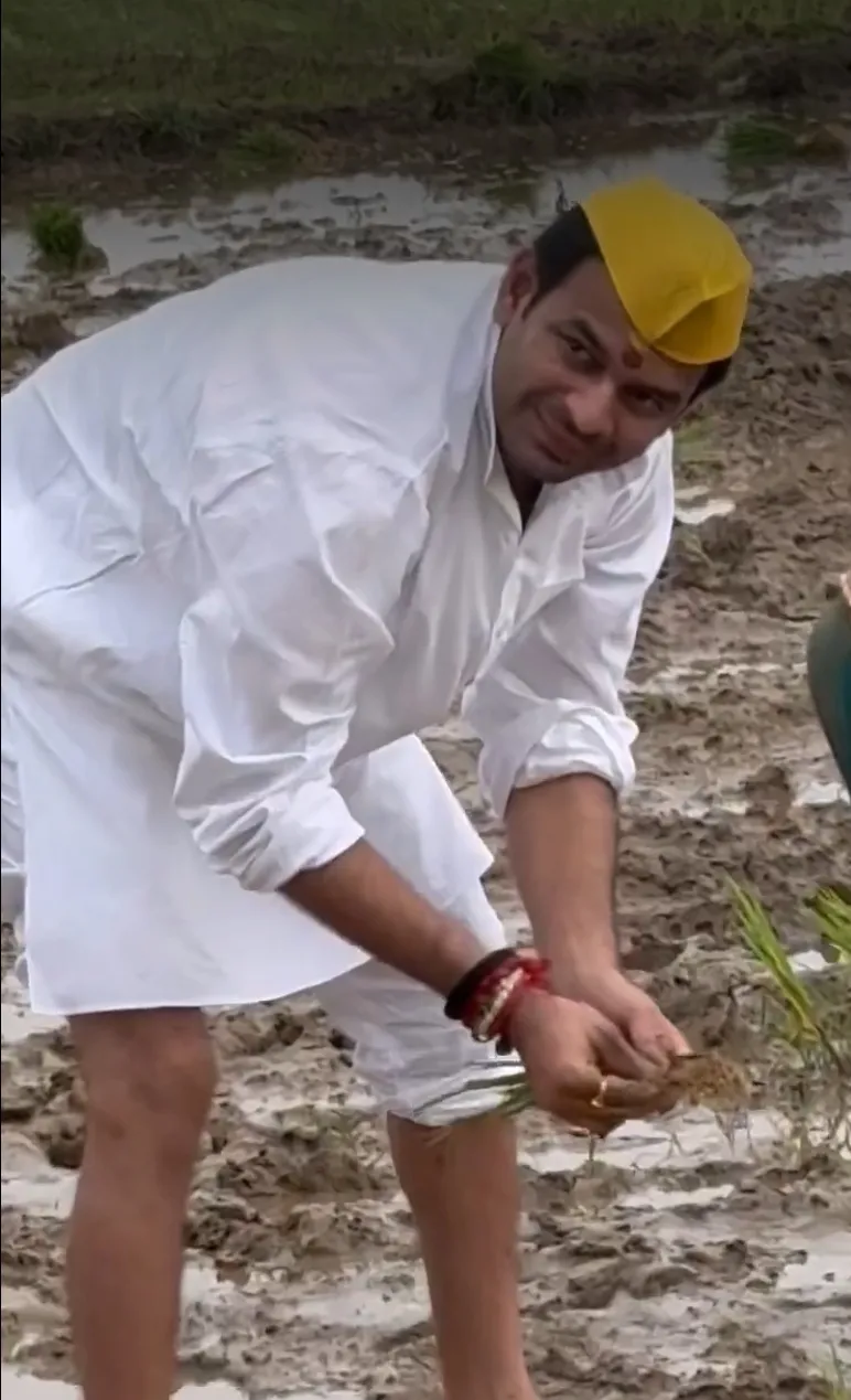 क्या तेज प्रताप यादव ने धान के खेत में रोपनी करके नया संदेश दिया?