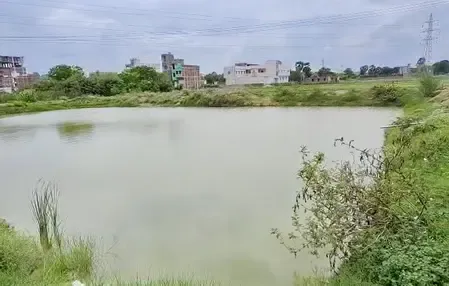 How Are Women in Sheikhpura Becoming 'Aatmanirbhar' through Pradhan Mantri Matsya Sampada Yojana?