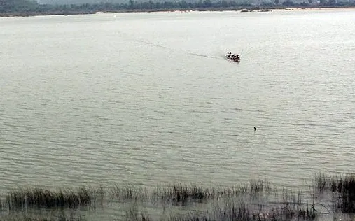 What Happened to the Three Andhra Youths Found in the Godavari?