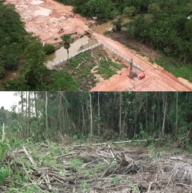 Brazil Faces Criticism Over Amazon Deforestation Ahead of Climate Summit