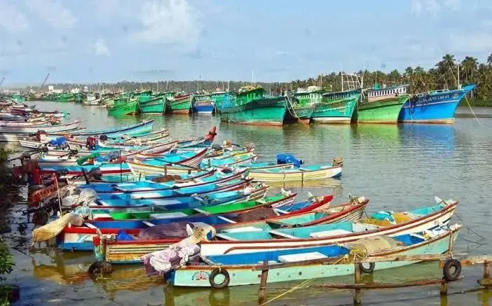 Breeding Season: 61-Day Fishing Ban to Commence in Tamil Nadu on April 15