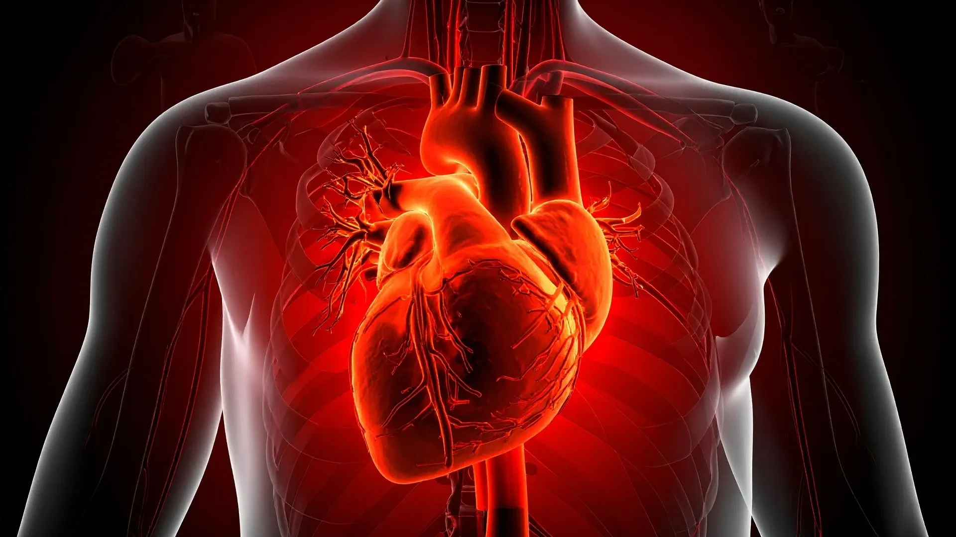 Could Brighter Night-Time Light Exposure Harm Your Heart?