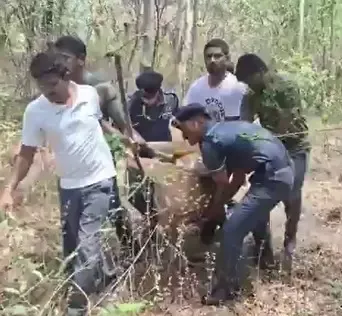 BRS Calls on Supreme Court to Address Deer Death Post Tree Cutting near HCU