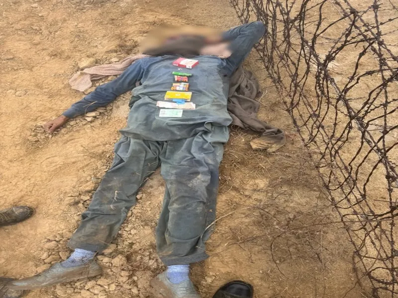 BSF in Rajasthan fatally shoots Pakistani trespasser attempting to breach Indo-Pak border