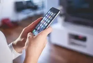 Budget Overview: Smartphones and EV Prices Decline, TVs and Fabrics Rise