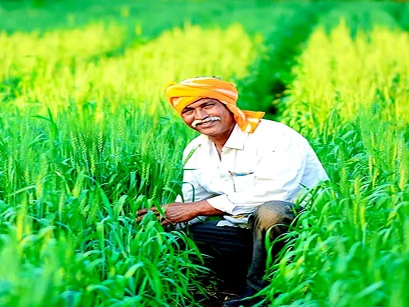 Cabinet Endorses Continuation of ₹69,515.71 Crore Crop Insurance Schemes for Farmers