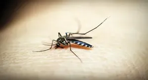 Cambodia Approaching Malaria-Free Status, Says PM Hun