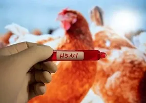 Has Cambodia Recorded Its Fourth H5N1 Bird Flu Death in 2025?