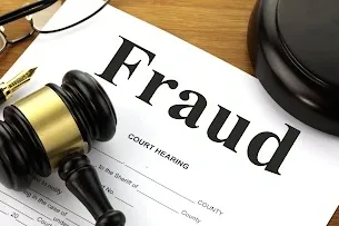 What Key Strategies Were Discussed in the CBI Meeting on Fraud Investigations?