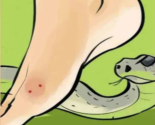 Government Classifies Snakebites as a Notifiable Disease in India