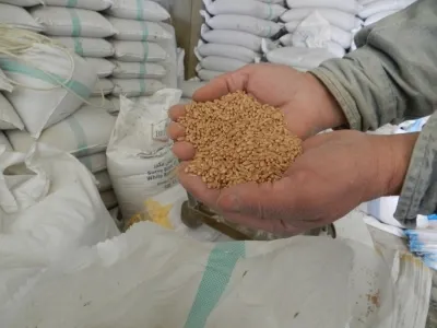 Why Did the Centre Impose Stock Limits on Wheat Traders?