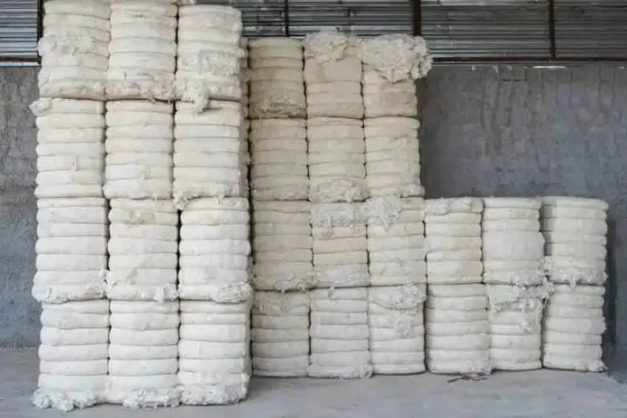 Government Allocates ₹37,450 Crore to Cotton Farmers for MSP Procurement