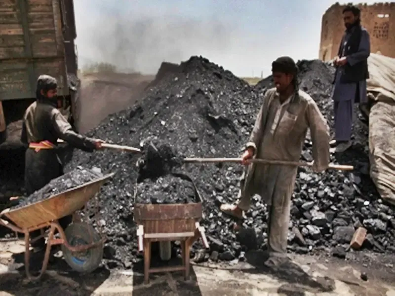Government Streamlines Registration Fees for Coal Importers to Boost Business Efficiency