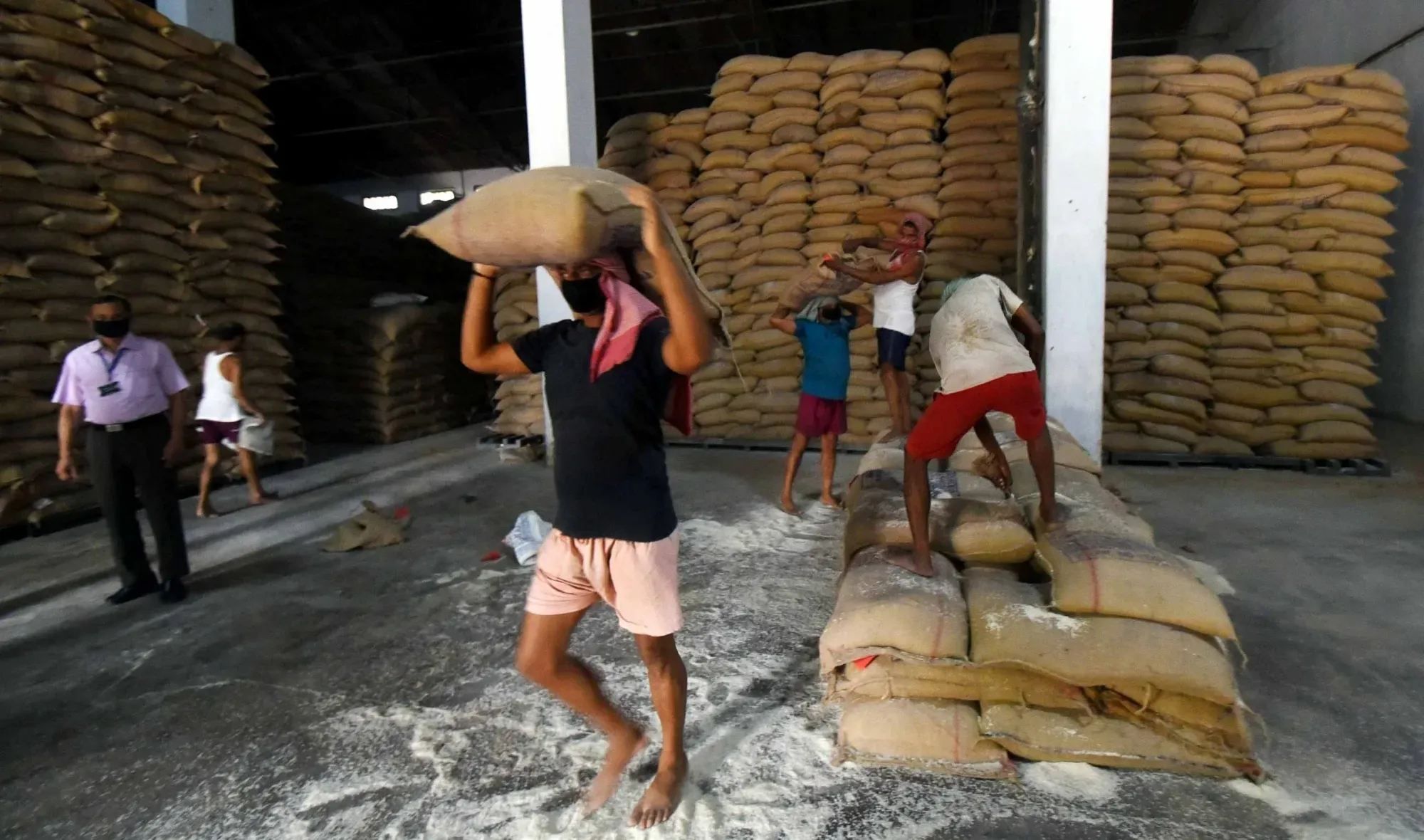 Government to Release 2.5 Million Tonnes of Wheat in Open Market to Stabilize Prices