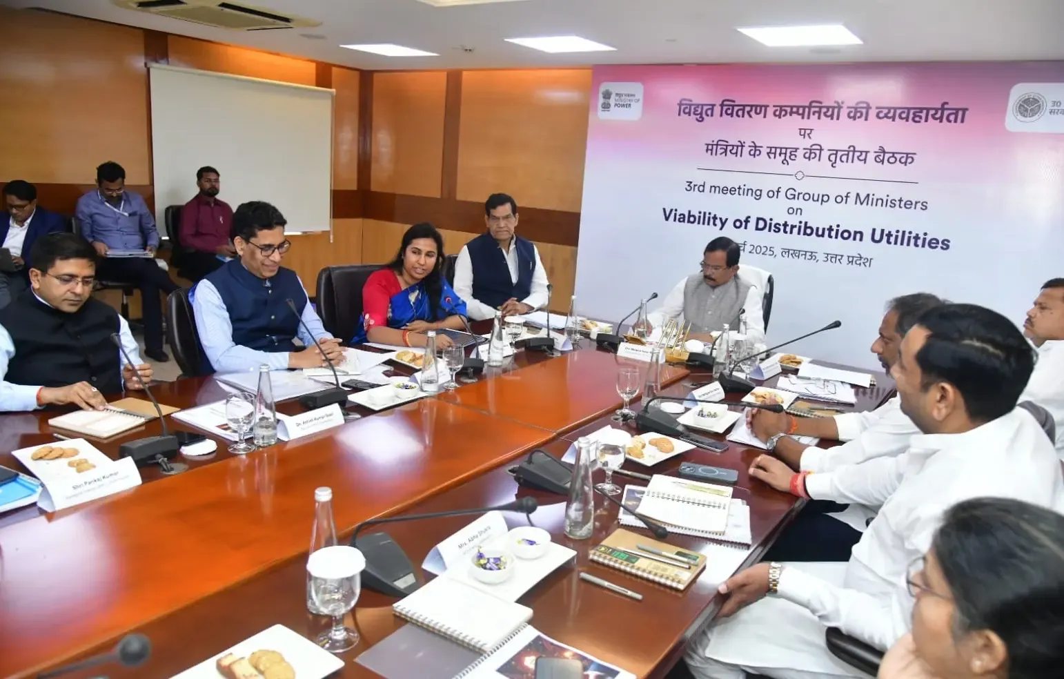 Government Calls on States to Enhance Financial Stability of Power Utilities