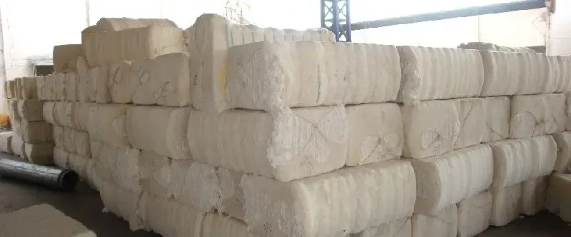 Centre's Cotton Procurement Surpasses 99.4 Lakh Bales at MSP This Season