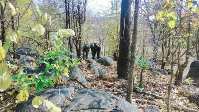 Chhattisgarh: Key Maoist Operative Neutralized; 49 Extremists Taken Out in 10 Days