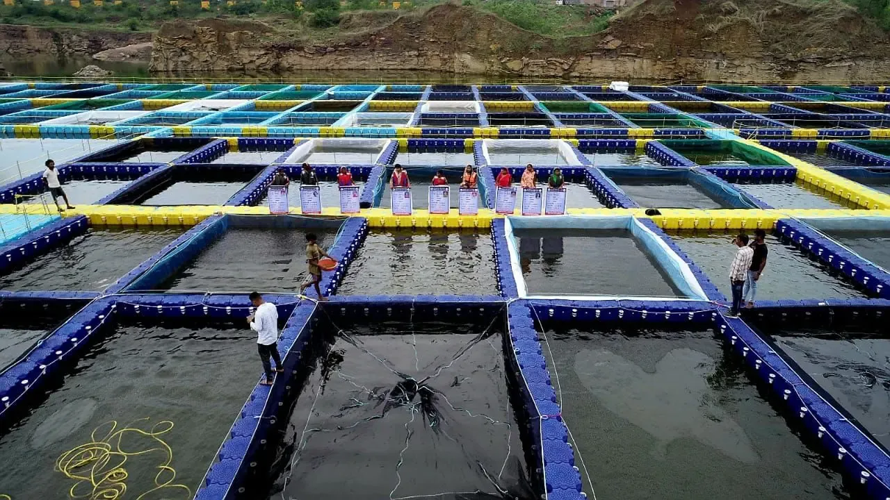 Empowering Chhattisgarh Women through Fish Farming in Repurposed Stone Quarries