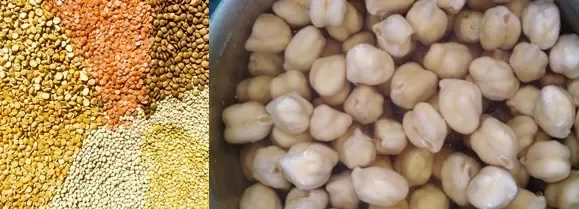 Chickpeas and Lentils Provide Greater Nutrition than Oats and Wheat: Research