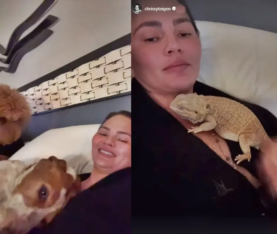 Chrissy Teigen Leaves Her Los Angeles Residence Due to Fires with ‘4 Kids, 4 Dogs, and a Bearded Dragon’