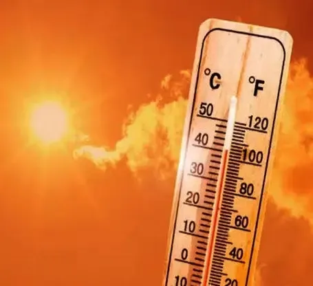 Urban Areas Most Vulnerable to Heatwave Deaths Amid Climate Change: Research