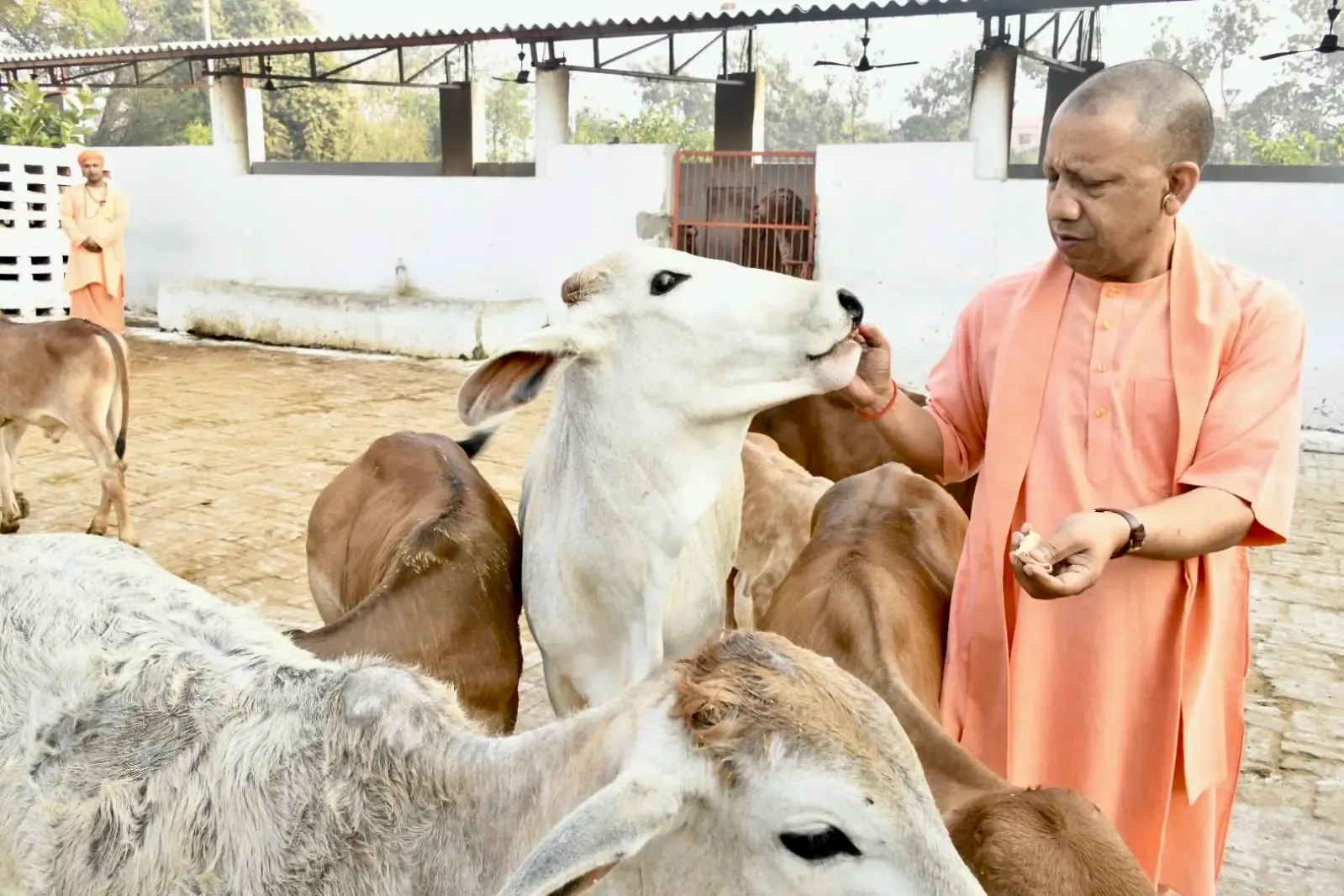 क्या सीएम योगी के नेतृत्व में प्रदेश ने 8 साल में विकास की नई लकीर खींची है, गोसेवा से बन रहे आत्मनिर्भर?