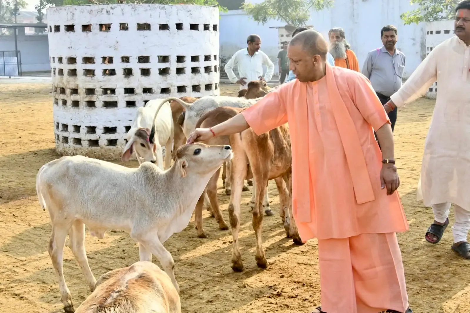 क्या सीएम योगी की नई पहल गो सेवा से अर्थव्यवस्था को मिलेगी रफ्तार?