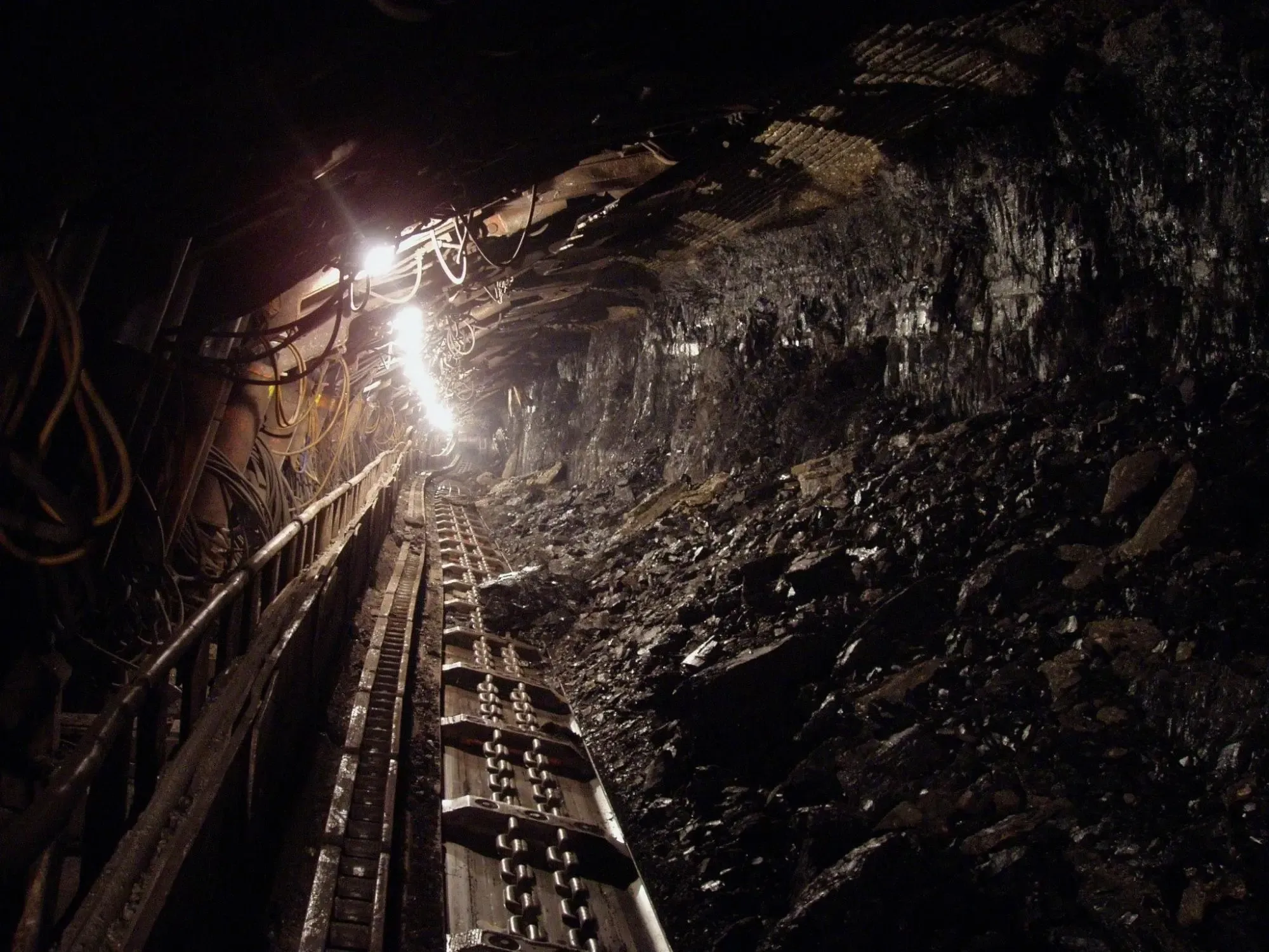 Did Coal India Achieve a 12% Increase in Q4 Net Profit?