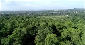 Coal PSUs Have Developed 16 Eco-Parks Covering 10,942 Hectares in 5 Years: Government