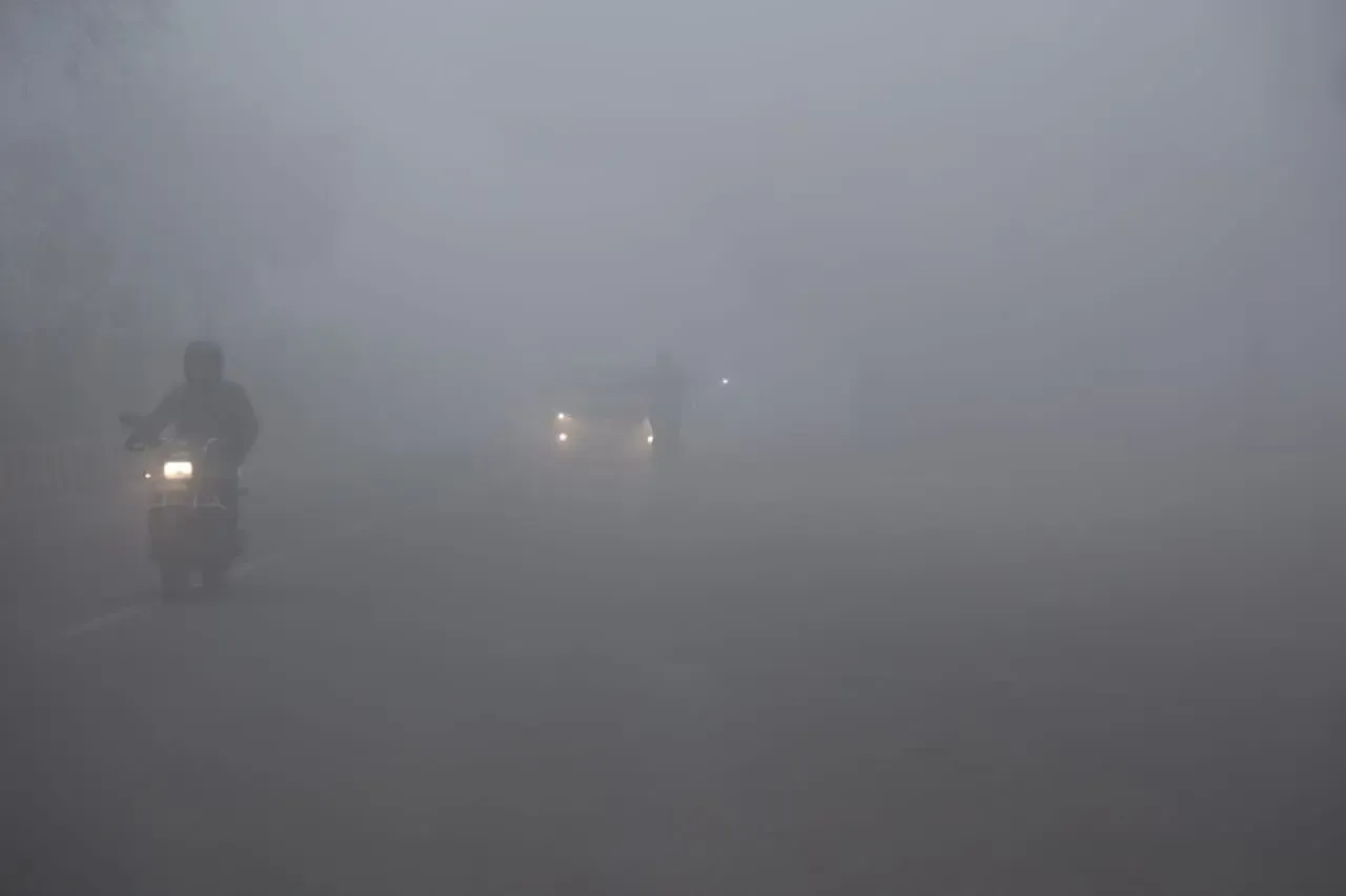Rajasthan Faces Intensified Cold Wave; Fog Warning Issued for 14 Districts