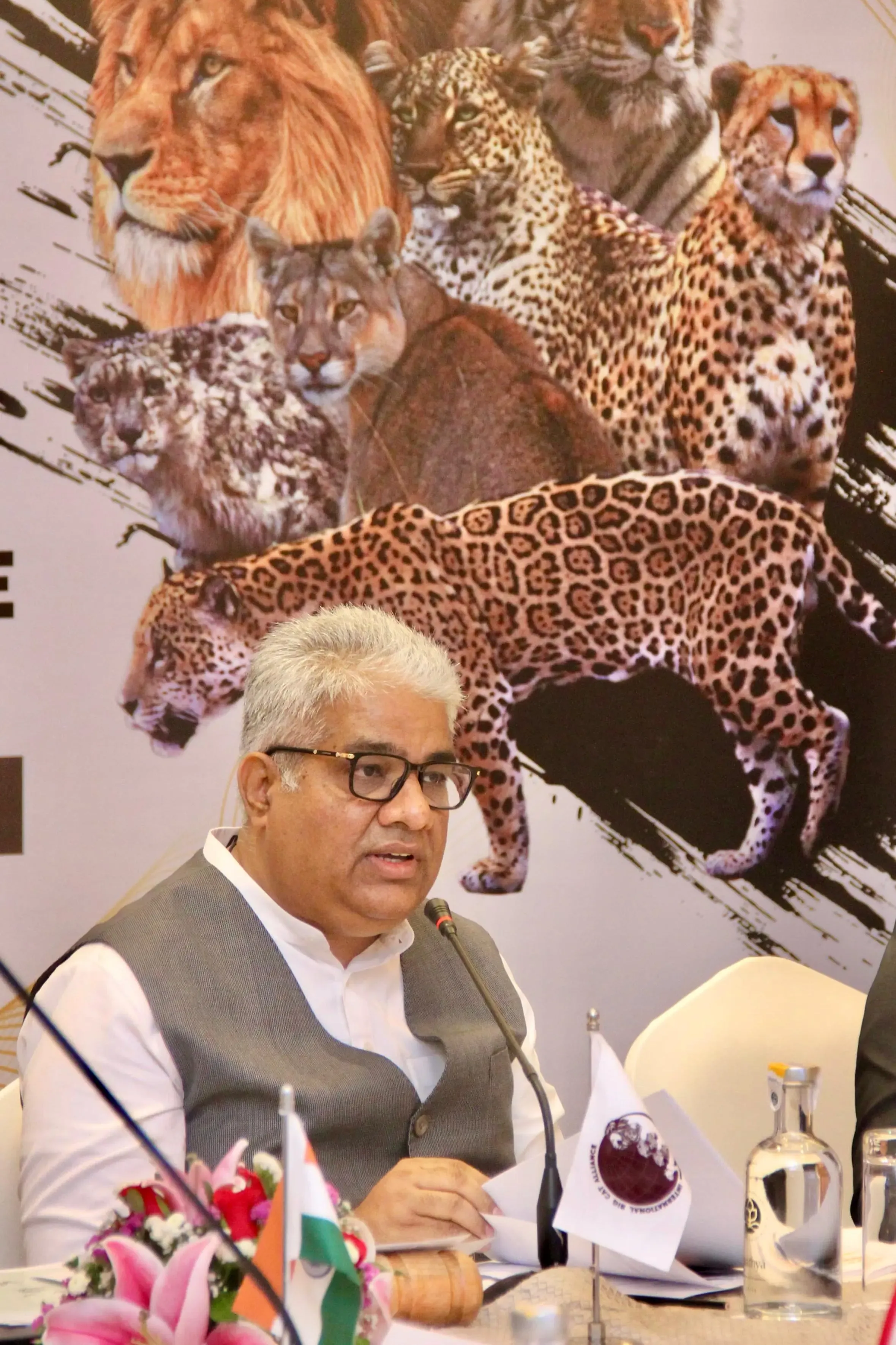 Why is collective action crucial for big cat conservation?