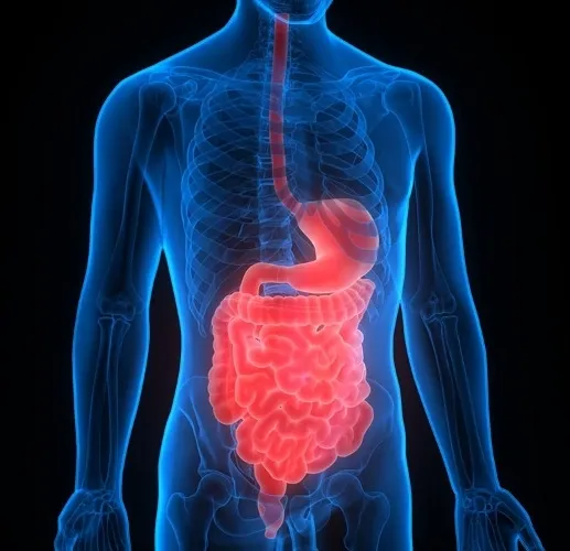 Promising Antibiotic for Inflammatory Bowel Disease