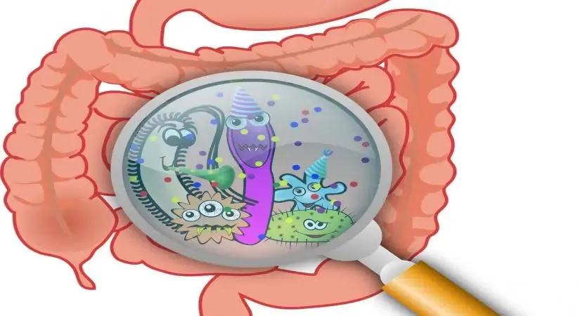 Common gut bacteria may hinder effectiveness of diabetes and cancer medications: Research