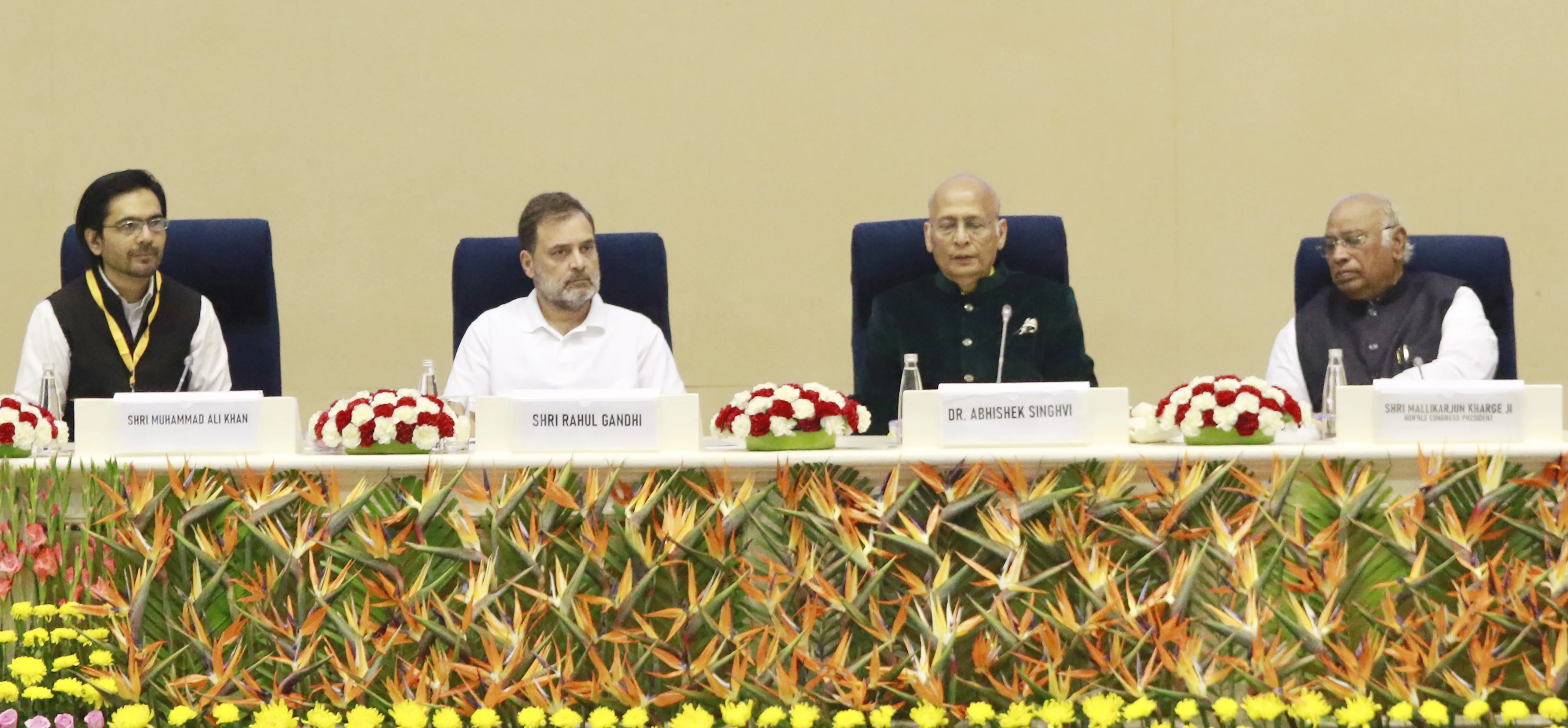 What Challenges Does Congress Face in Upholding Social Justice and Constitutional Integrity?