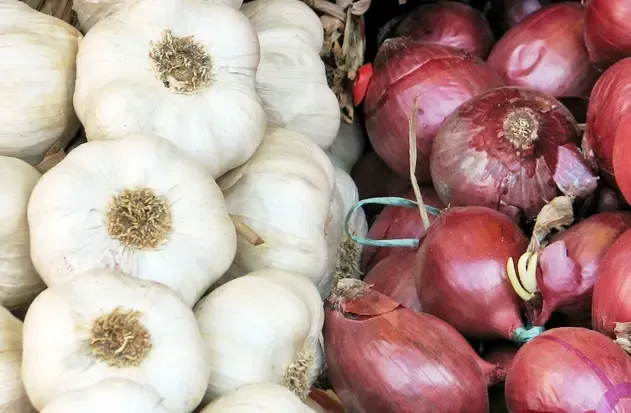 Study Reveals Cooking Garlic and Onions at High Temperatures May Harm Heart Health