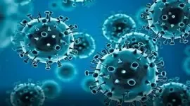 Are Covid-19 Cases in Gujarat Surging Past 460?