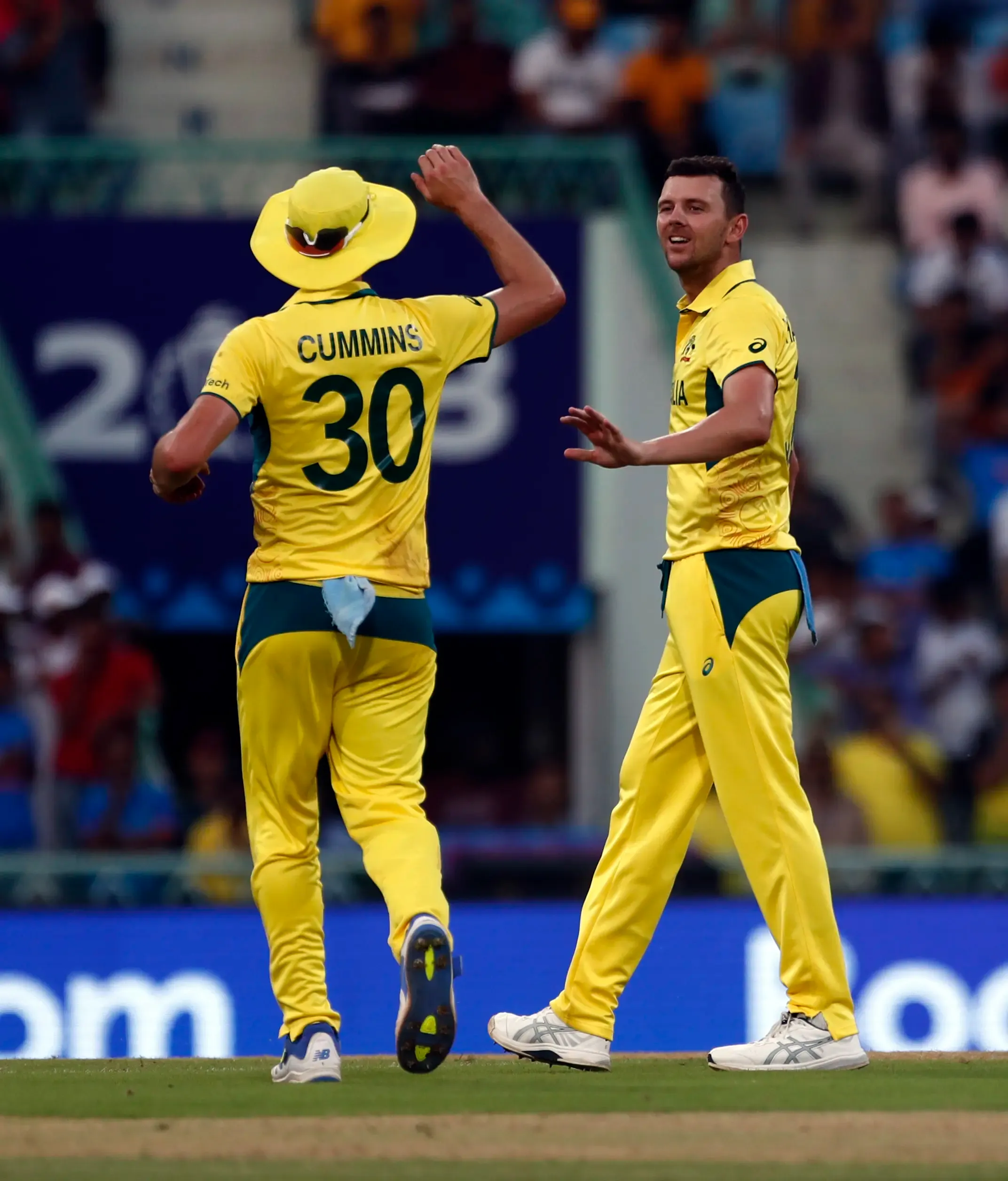 McDonald: Cummins, Hazlewood Doubtful for Champions Trophy