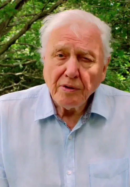 What Did David Attenborough and Prince William Reveal About the Mysteries of Our Oceans?