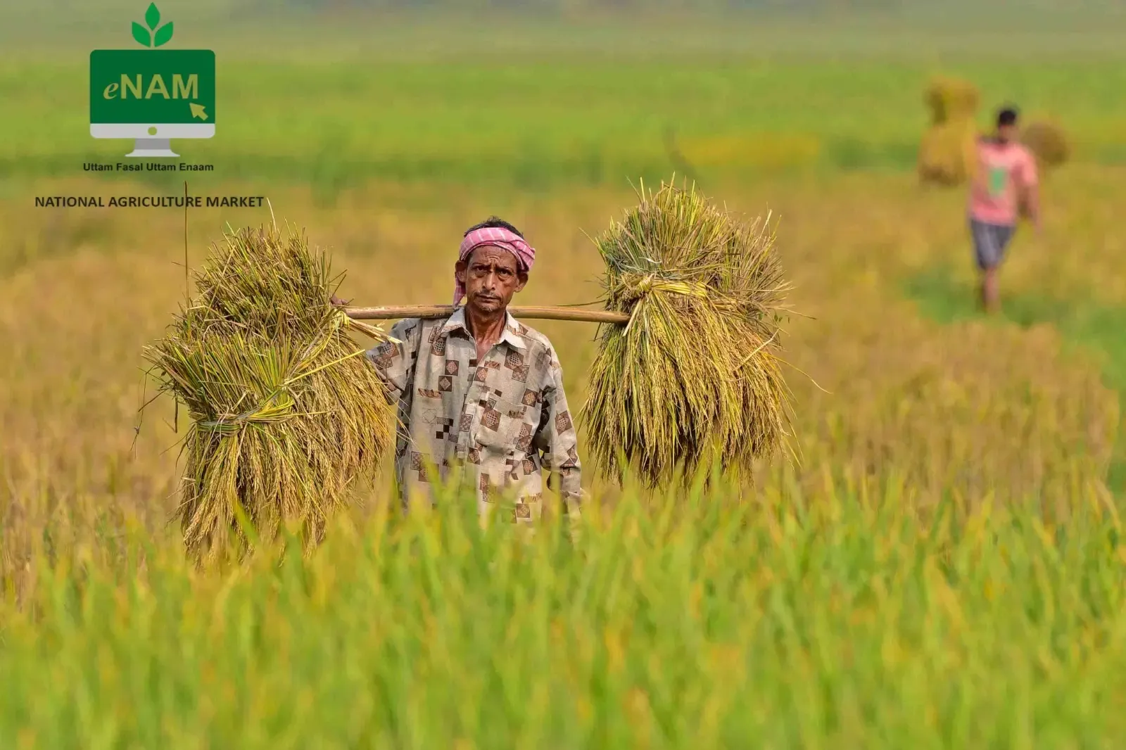 Government's e-NAM Platform Facilitates Farm Goods Deals Worth Rs 3.79 Lakh Crore