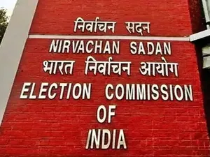 ECI to Decide on AIADMK's Iconic Symbol in Four Weeks: Madras HC Update