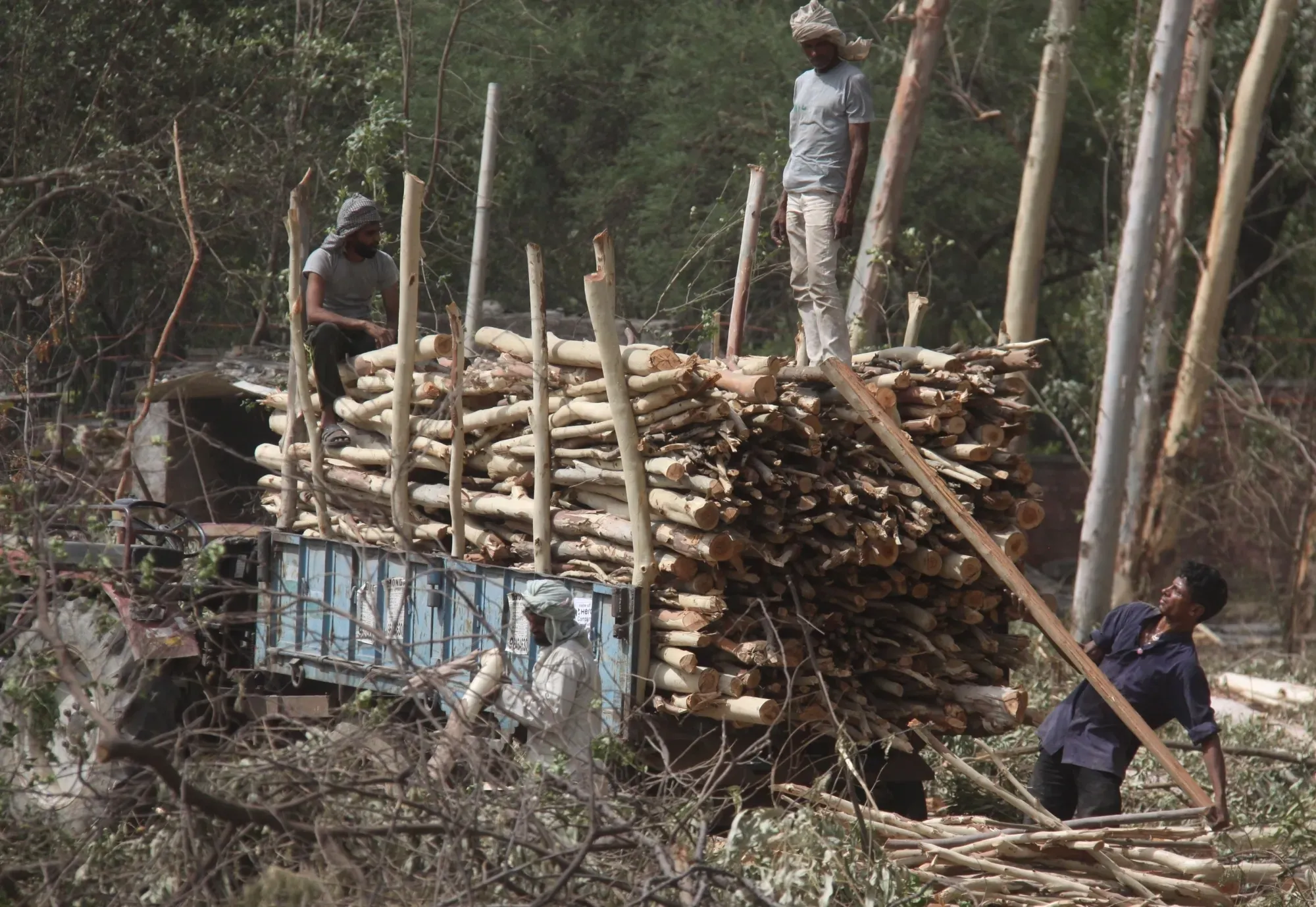 UN Report Highlights Urgent Need to Address Deforestation and Unsustainable Agriculture Leading to Unprecedented Land Degradation