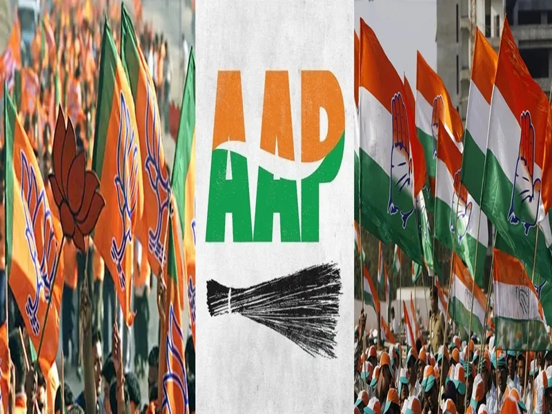 Delhi Assembly Elections: 719 Candidates Remain on Nomination Withdrawal Deadline