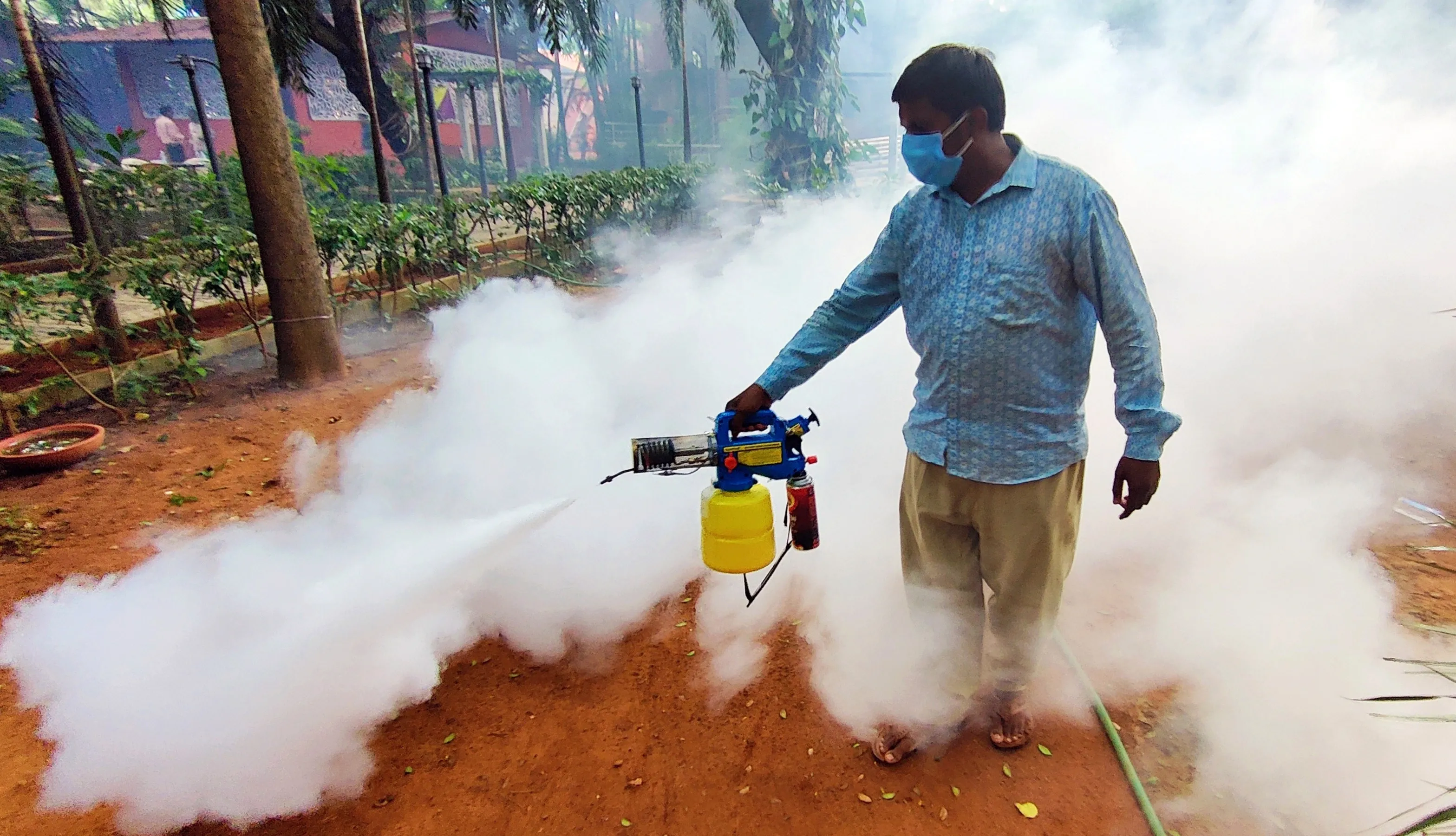 Are Dengue and Chikungunya Set to Become Endemic in Europe?