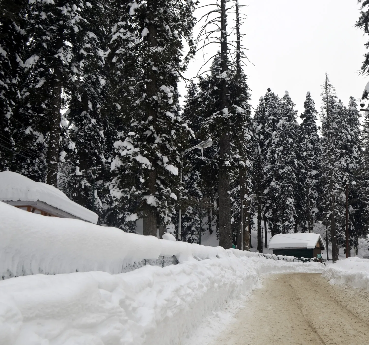 Thick Fog Causes Flight Delays in Srinagar; Valley Prepares for Heavy Snowfall