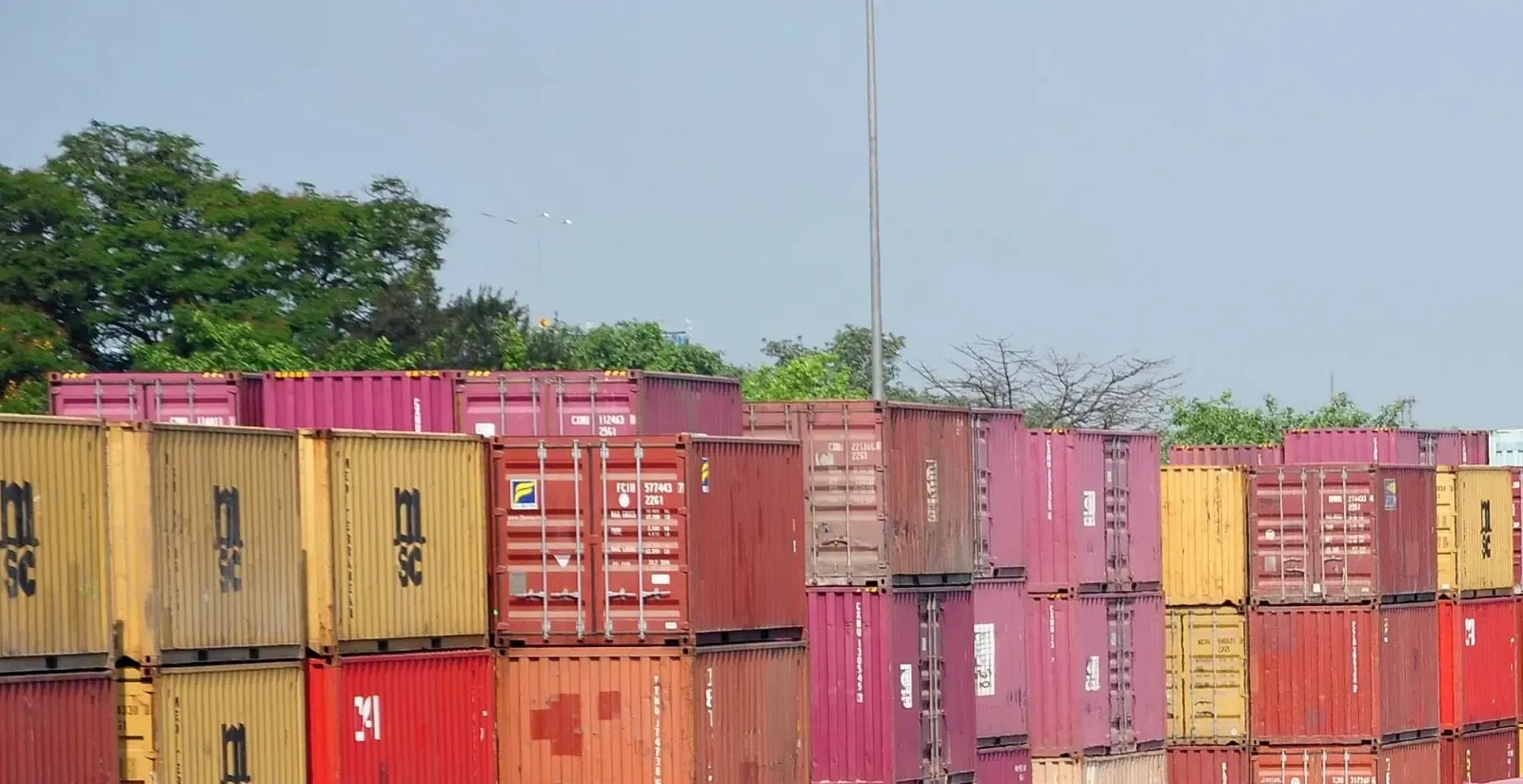 Neutral Effects Predicted on Indian Sectors from US Tariffs: Report