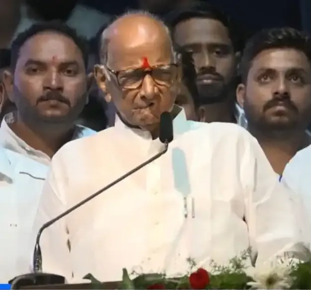Should NCP-SP Focus on Revival Rather Than Worry About Split?